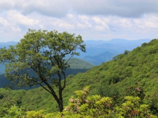 Views from the Blue Ridge Parkway