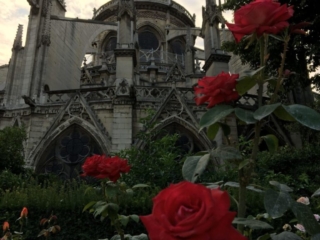 Notre-Dame Cathedral in Paris, July 2018